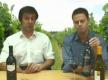About Wines