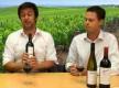 Rapid Wine Pouring Tips Review