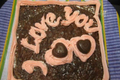 Valentine's Day Cupcakes and Brownie Cake with Attractive Toppings