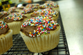 Vegan Vanilla Cupcakes with Chocolate Icing