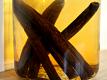 Vanilla Extract Facts 