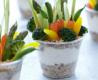 How To Make Vegetable Garden Cups With Ranch Dip