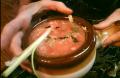 How To Make Healthy Blended Vegetable Soup