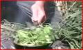 How To Make Vietnam Vegetarian Stir Fry