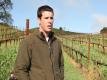 Vineyard Budbreak On The Jordan Estate (the Journey Blog 4.19.10)