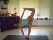 Vinyasa Yoga Advanced Standing Series