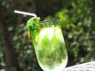 How To Make Virgin Mojito