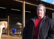 Alpacas Farming
