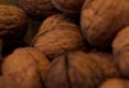 Hungry In Norcal - Visiting A Walnut Farm