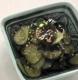 How To Make Crunchy Wakame Seaweed Salad