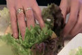 How To Make VitaMix Waldorf Lettuce Wraps