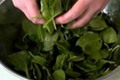 How To Make Warm Spinach And Mushroom Salad With Red Wine Vinaigrette