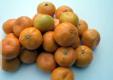 Weigh Your Citrus