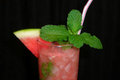 How To Make Skinny Watermelon Mojito