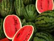 Watermelon Tips and Recipes from The Produce Lady