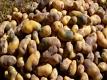 Watia Traditional Peruvian Oven Cooked Potatoes