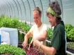 Wegmans Organic Farm