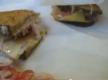 Weight Watchers Video 94