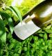 What Is Terroir?