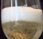 What To Eat With Prosecco Wine