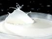 What's The Difference Between Milk And Half & Half Cream?