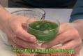 How To Make Blended Vegan Wheatgrass Juice