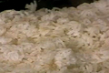 How To Make White Rice Preparation
