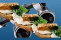Quick Weight Loss Diets