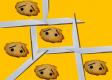 Science Behind Pastry Making