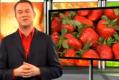 Life Saving Fruits - Strawberries