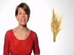 Why Is Celiac's Disease On The Rise?  Video