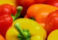 Greenhouse Fresh Peppers!