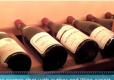 Wine Author & Expert Jeff Smith In His Million Dollar Cellar