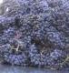 Winemaker For A Day