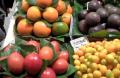 World's Largest Farmers Market Video