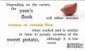 Buying And Cooking Yams