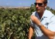 Meridiana Wine Estate Review