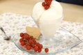 Yogurt Ice Cream 