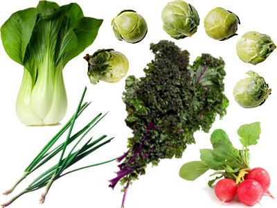 10 vegetables you can grow in shade and feel sunny about your garden-space