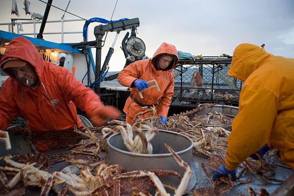 Gulf Coast seafood industry