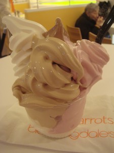 The frozen yogurt at 40 Carrots