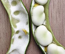 Beans