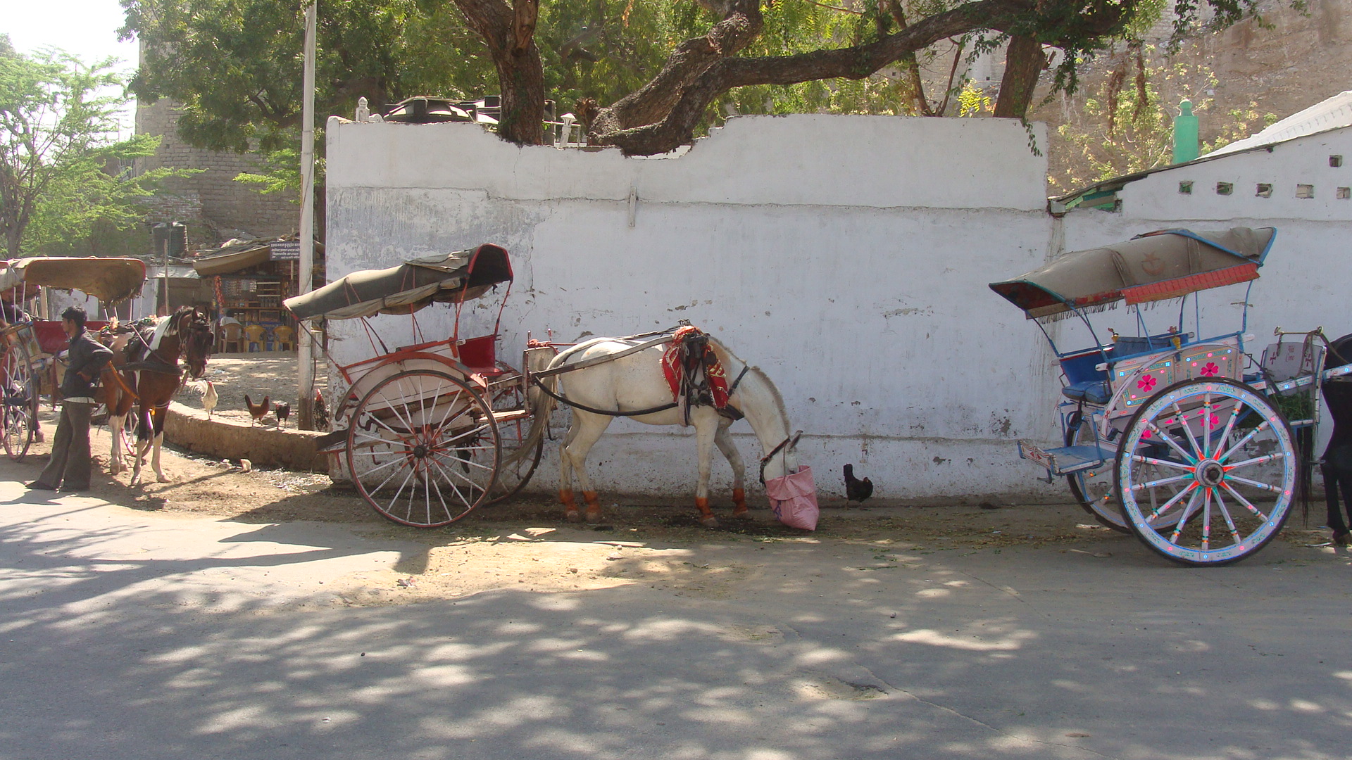 Holy city of Ajmer | ifood.ajmery college of commerce 