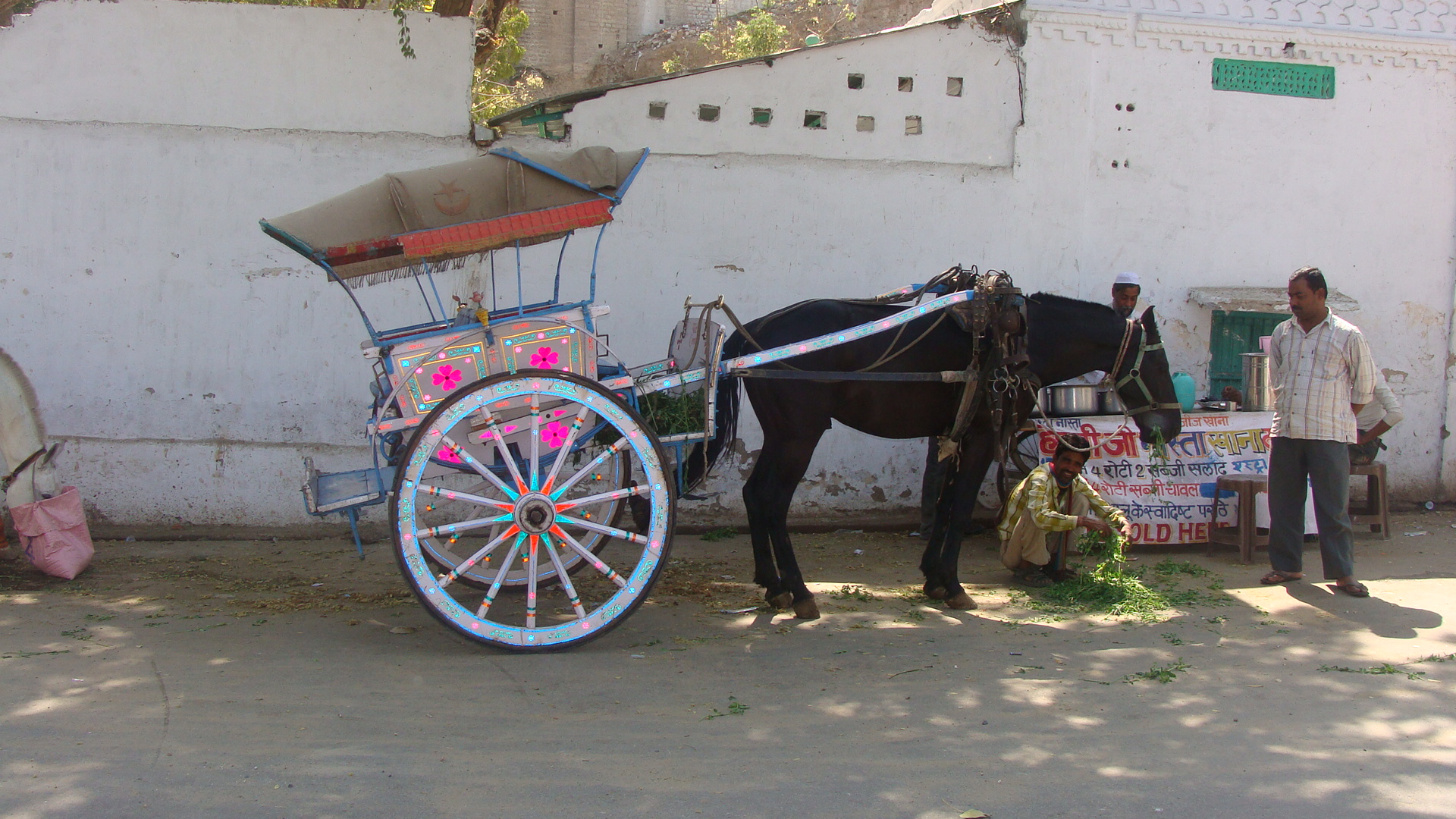 Holy city of Ajmer | ifood.ajmery college of commerce 