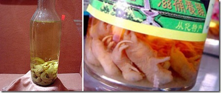 Baby mouse wine in the process of its making - a very weird drink