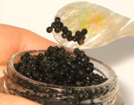 Caviar