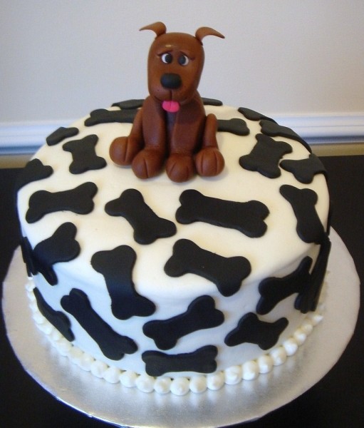 Dog+bone+shaped+cake