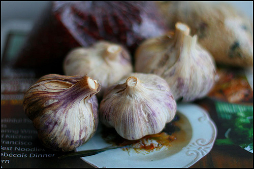 Garlic bulbs that have a wonderful history as food Garlic bulbs that have a wonderful history as food
