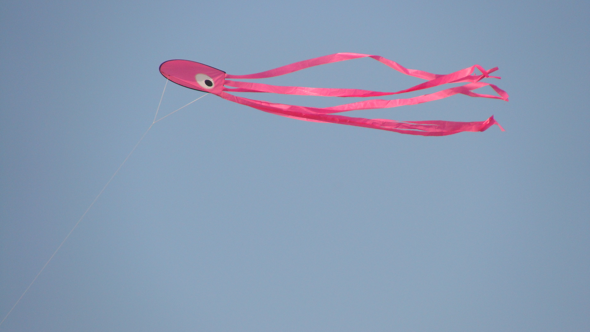 A goan kite