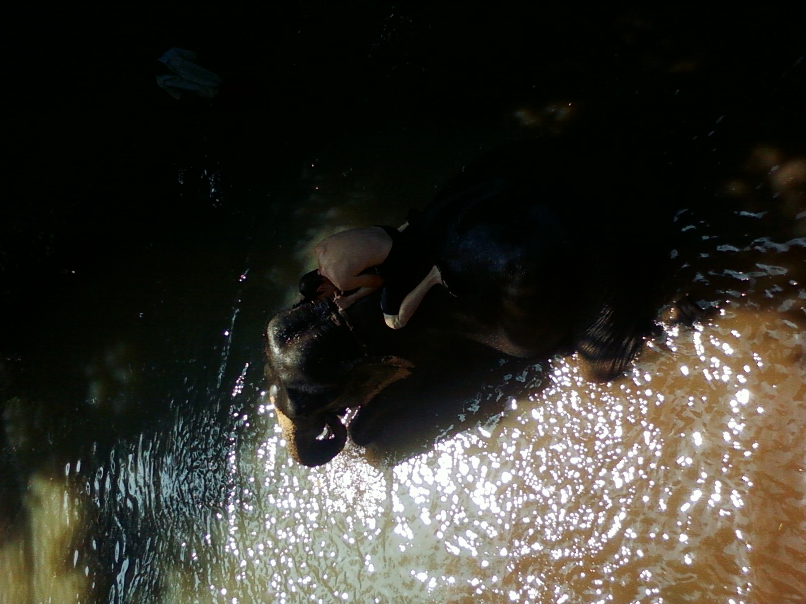 Goan style bathing